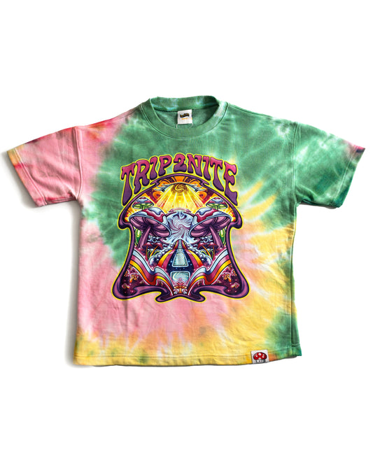 Hand Dyed French Terry Tee Shirt ( Far Out)